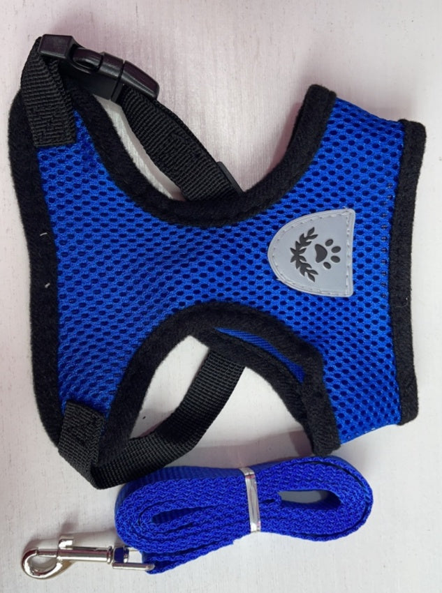 No-Pull Breathable Harness with Leash for Dogs & Cats | Soft & Secure – Beboo EasyFit™