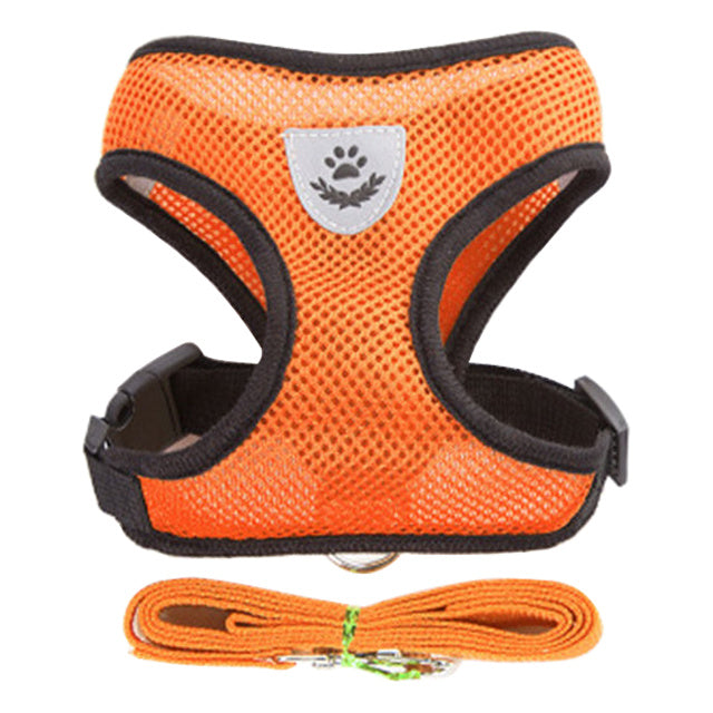 No-Pull Breathable Harness with Leash for Dogs & Cats | Soft & Secure – Beboo EasyFit™