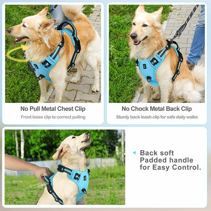 Harness No Pull