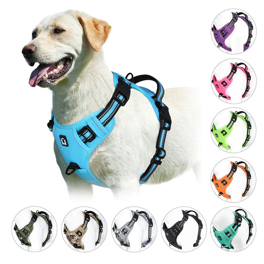 Harness No Pull