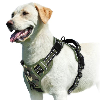 Harness No Pull