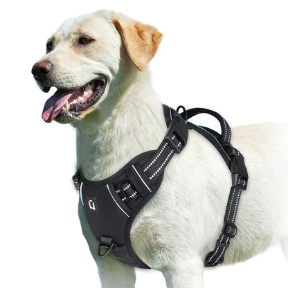 Harness No Pull