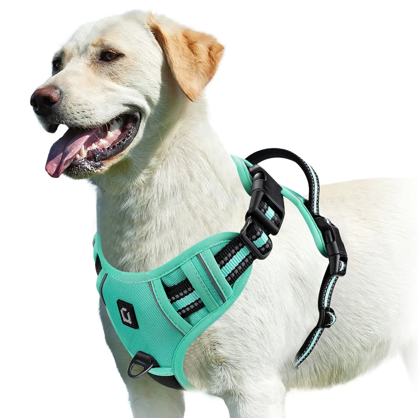 Harness No Pull