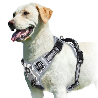 Harness No Pull