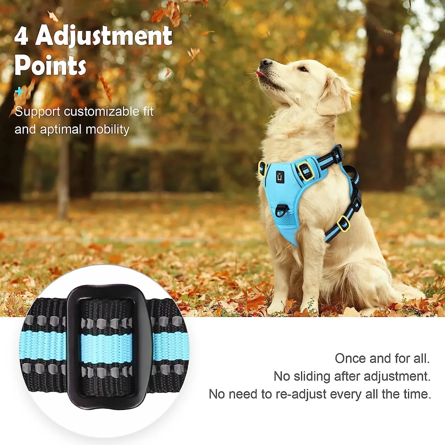 Harness No Pull