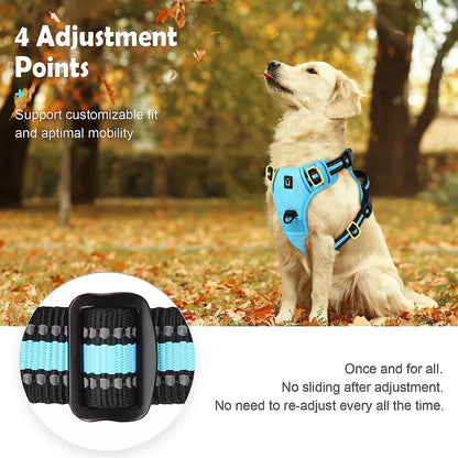 Harness No Pull