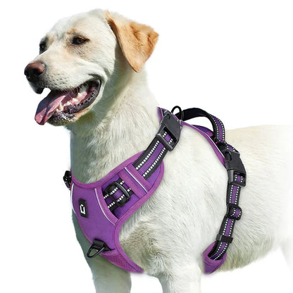 Harness No Pull