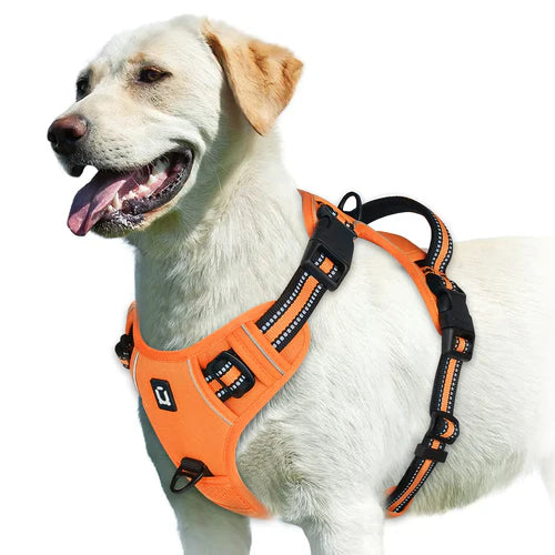 Harness No Pull