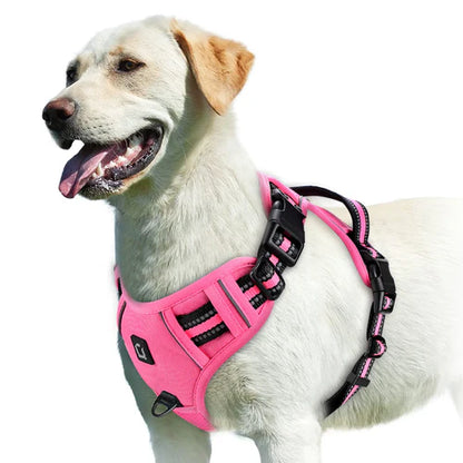 Harness No Pull
