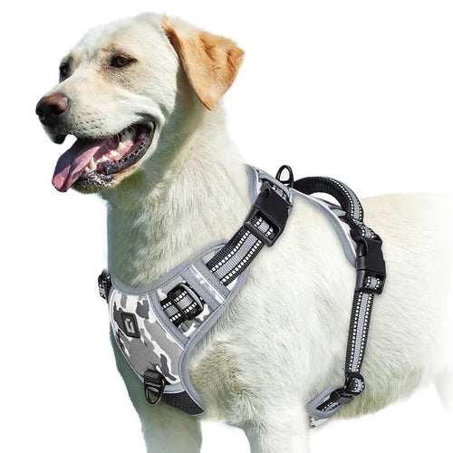 Harness No Pull