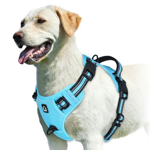 Harness No Pull