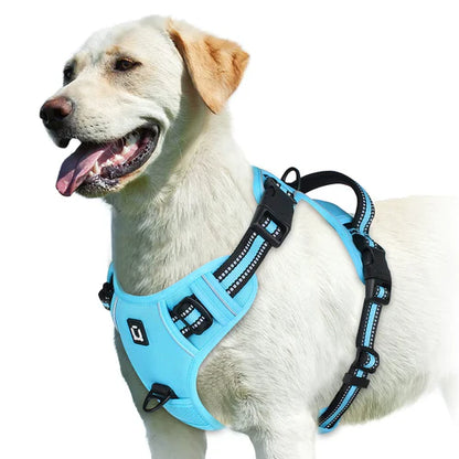 Harness No Pull