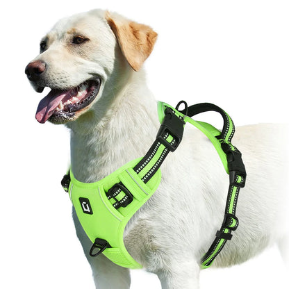 Harness No Pull